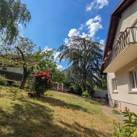Βίλα Grande Maison Avec Vue Panoramique Thann