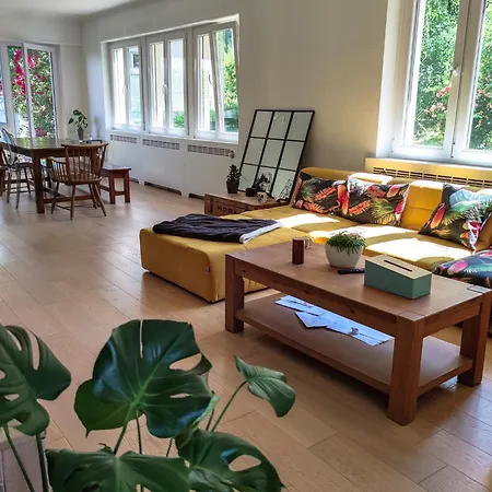 Grande Maison Avec Vue Panoramique Thann