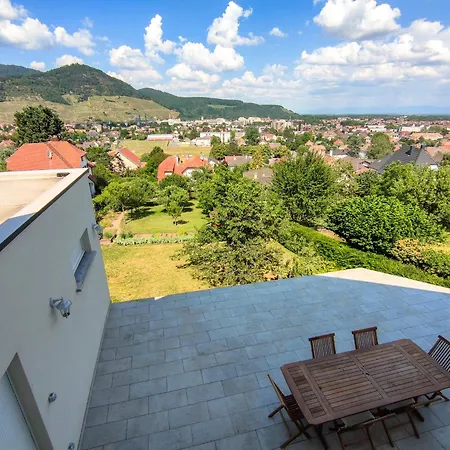 Grande Maison Avec Vue Panoramique Thann